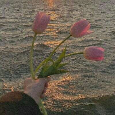 火狐电竞下载手机版截图